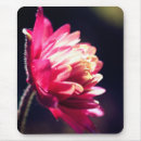 Suche nach sonnenlicht mousepads Blume
