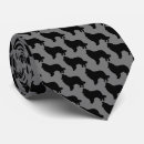 Recherche de berger accessoires Animaux