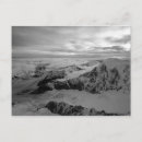 Recherche de soude cartes postales Personne