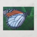 Recherche de peintures acryliques cartes postales Orange
