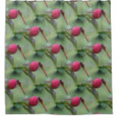 Suche nach rote libelle Tier