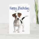Suche nach jack russell terrier karten Welpe