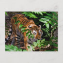 Suche nach amur postkarten Groß