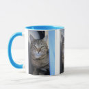Recherche de chat tigré brun tasses Photographie