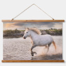 Recherche de photos de cheval Équestre