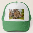 Recherche de mâle casquettes Animal