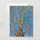 Suche nach crack postkarten Risse