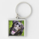 Suche nach schwarzer labrador schlüsselanhänger Sitzen