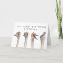 Recherche de adult son anniversaire cartes Animal