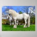 Suche nach percheron poster Pferde
