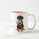 Recherche de pinscher tasses Dobie
