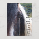 Recherche de tziganes cartes postales Cheval