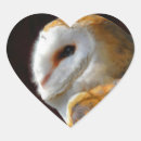 Suche nach herz eule auf aufkleber Vögel