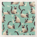 Recherche de chat siamois dessous de verres Chatons