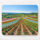 Suche nach garten blumen mousepads Natur