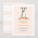 Recherche de whippet cartes postales Mignonette