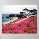 Suche nach monterey poster Meer