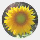 Suche nach lustige gartenarbeit aufkleber Natur