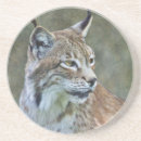Suche nach luchs untersetzer Tier