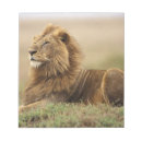 Suche nach mara notizblock Panthera leo