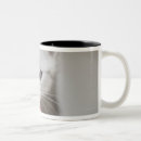 Recherche de jouets tasses Chat
