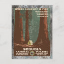 Suche nach mammutbaum poster Reise
