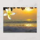 Recherche de surfeurs cartes postales Hawaiien