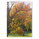 Recherche de érable à sucre Automne