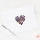 Suche nach miezekatze aufkleber Tabby