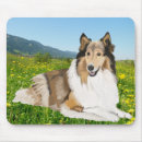 Recherche de la colle tapis souris Collie