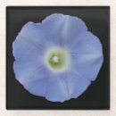 Suche nach weinrebe untersetzer Blume