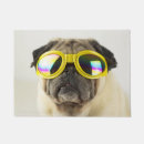 Recherche de de chien carlin paillassons Chiot