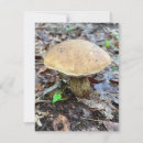 Suche nach pilz kleine grußkarten Natur