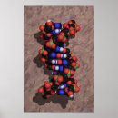 Suche nach dna kunst Helix