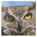 Suche nach schnabel fliesen Wildtiere