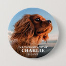 Recherche de photo chat badges Mémorial