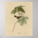 Recherche de oiseaux de marais art Illustration