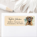 Recherche de mastiff anglais Mignon