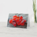 Suche nach rotes meer karten Strand