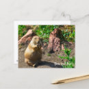 Recherche de chien prairie cartes postales Mignon