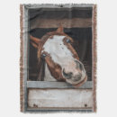 Recherche de photos de cheval Équitation