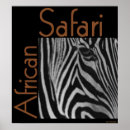Suche nach safari poster Tier