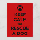 Recherche de secouru cartes postales Chien
