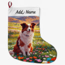 Recherche de border collie chaussette de noël Chiens