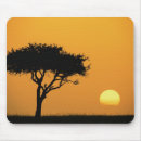 Suche nach akazienbaum mousepads Masai mara