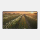 Suche nach wanderer elektronik zubehör Sonnenuntergang