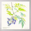 Suche nach strampler poster Illustration