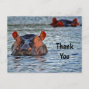Recherche de hippopotamus vœux cartes Animal
