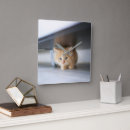 Suche nach persische katze wanduhren Haustier