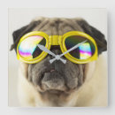 Suche nach sunglasses poster Puppy